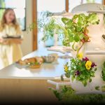 ¿Hablamos con un robot? ¡Despegar lanza a SOFIA por voz y sí, es más inteligente que tu ex!