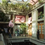 Zona Maco 2026: Todo sobre la feria de arte más grande de LATAM